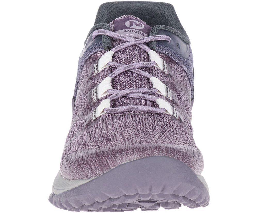 Merrell Sneakers Purple - Antora - Womens 86HRJPWMQ